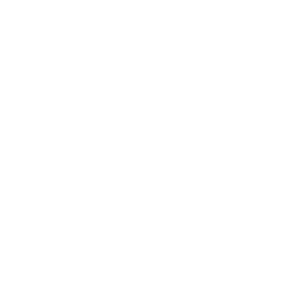 WEBIS Logo